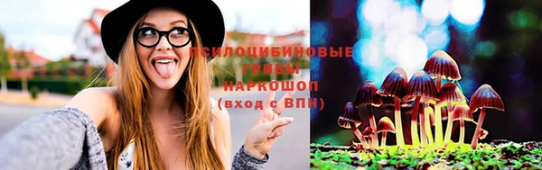 сатива Заречный