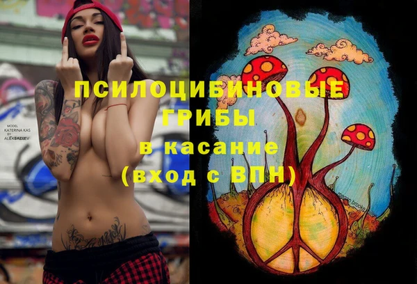 сатива Заречный