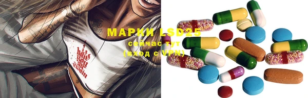 сатива Заречный
