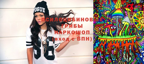 сатива Заречный