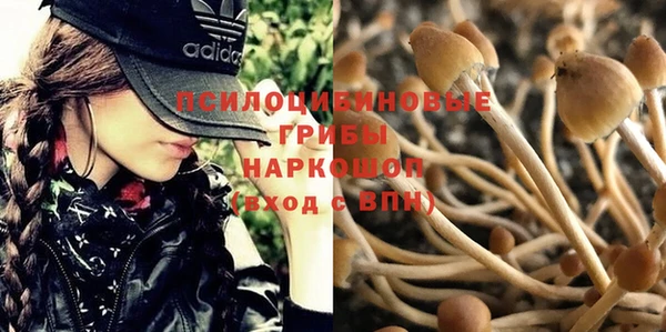 сатива Заречный