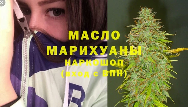 сатива Заречный