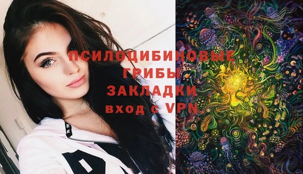 сатива Заречный