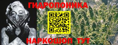 индика Волжск