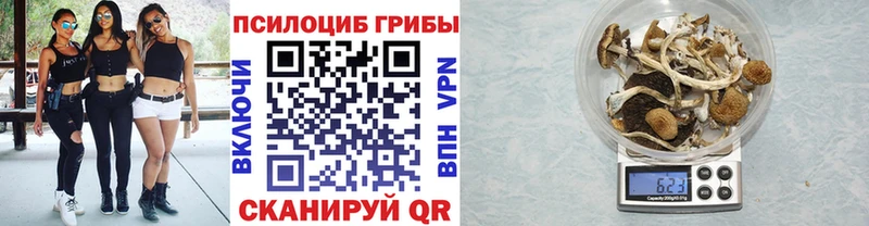 наркошоп  Конаково  Псилоцибиновые грибы Psilocybe 