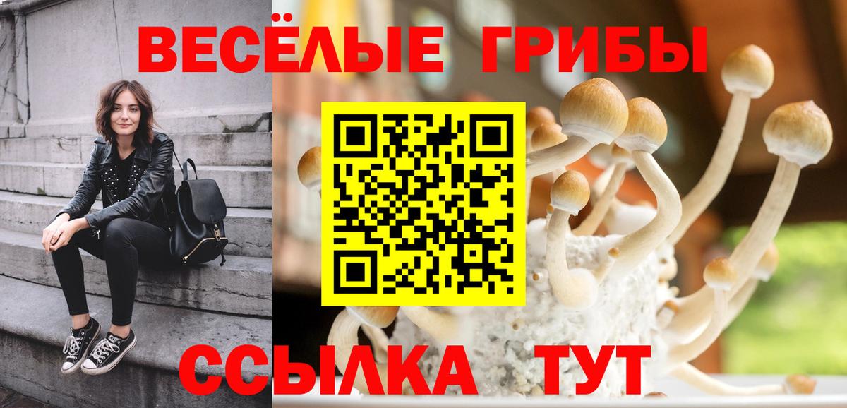 Галлюциногенные грибы Psilocybine cubensis  Вход с VPN  Конаково 